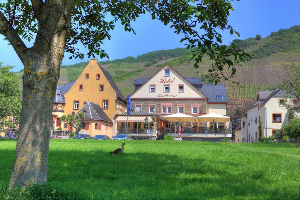 Hotel Moselterrasse Едигер-Елер Екстериор снимка